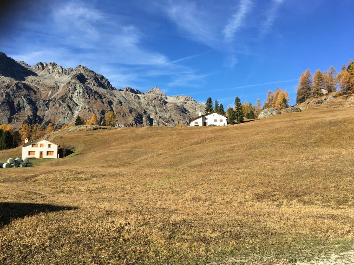 Chesa Viletta La Punt-Chamues-ch Kültér fotó